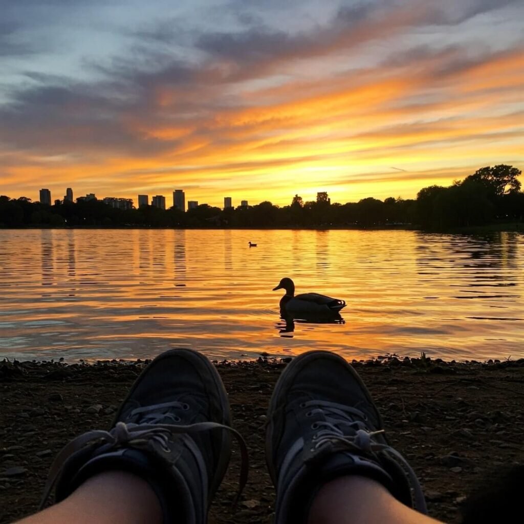 Sunset Sneakers Green Lake Duck