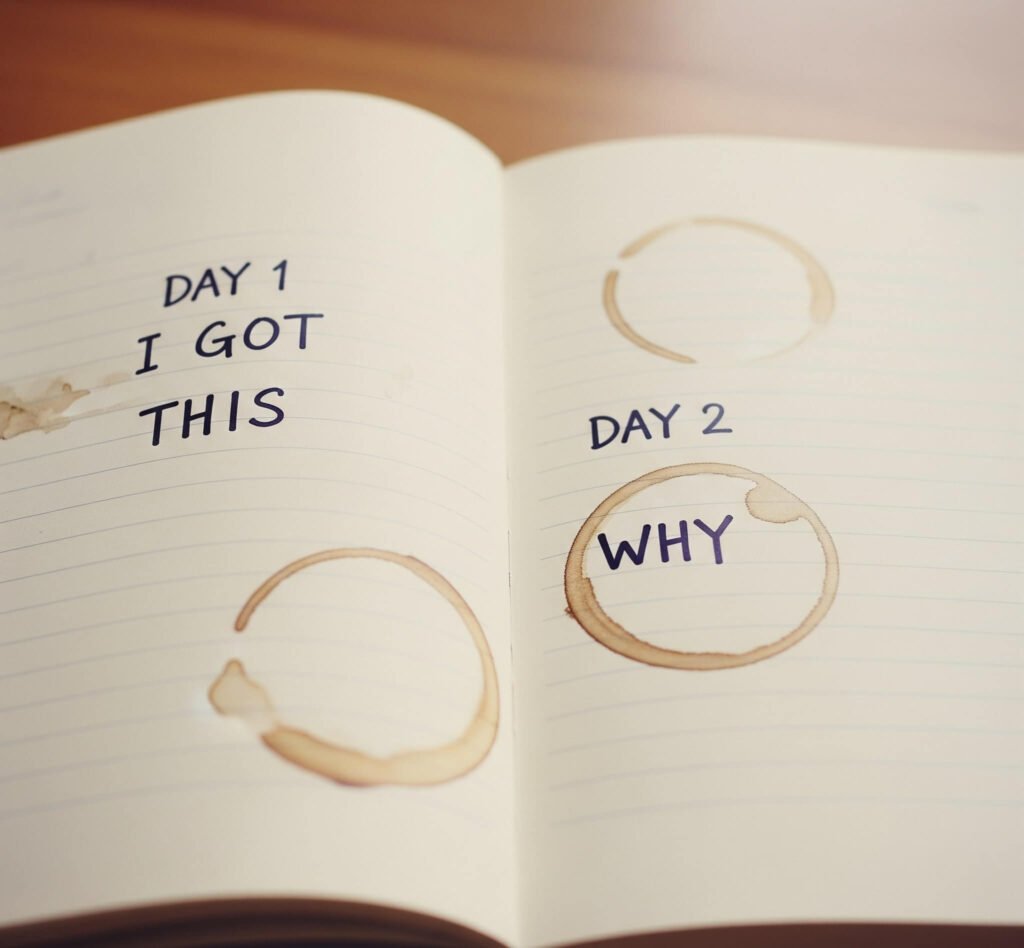 
Journaling Reality: Day 1 vs. Day 2
