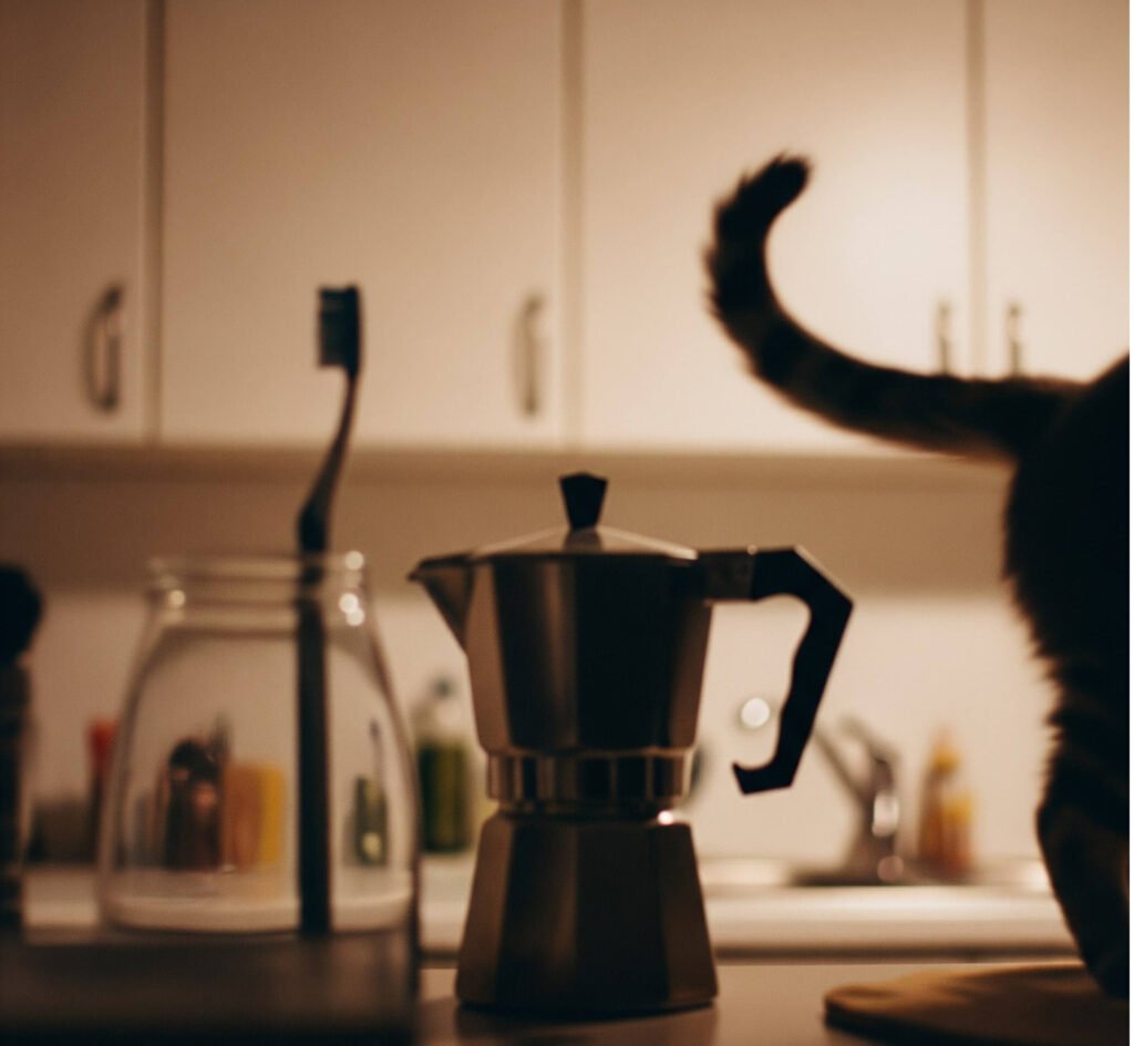 Fuzzy Photo: Cat Tail & Coffee Chaos