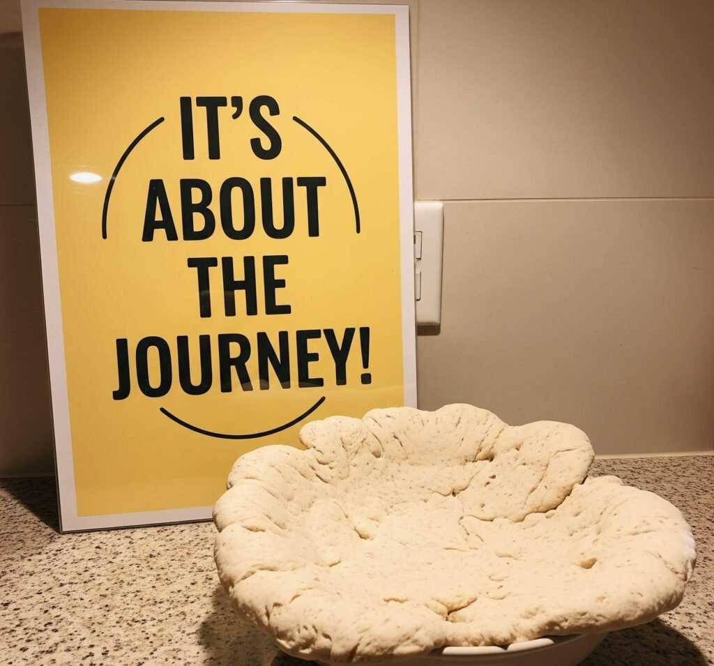 Sourdough Fail & Journey Poster: A Baking Reality Check