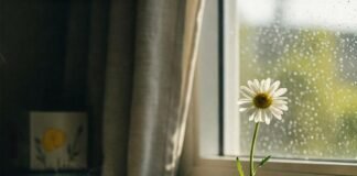 10 Simple Mental Health Habits for a Better You Cozy Cluttered Desk: Imperfect Hope