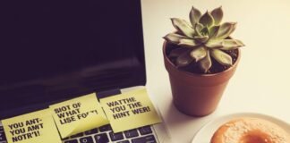 How to Stay Motivated When Pursuing Big Goals Exhausted Productivity: Sticky Notes, Donut & Succulent Laptop Mess